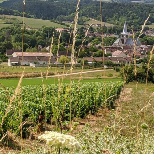 Les-Riceys-vue-village Les-Riceys-vue-village