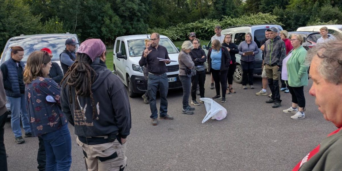 Les acteurs de la viticulture mobilisés pour détecter la flavescence dorée