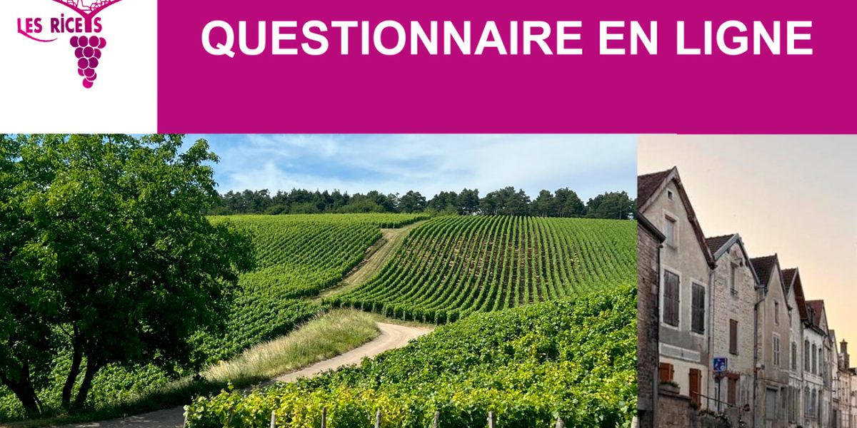 affiche-questionnaire